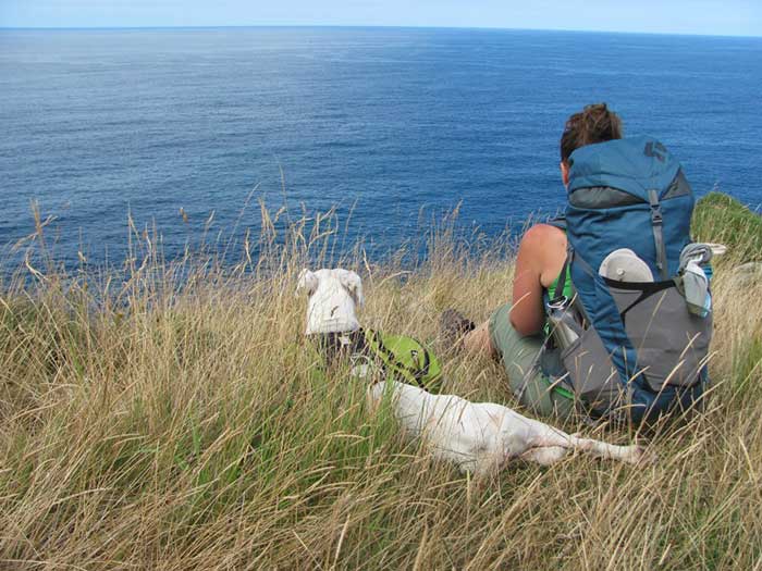 your-first-camino-de-santiago-finisterre-pets