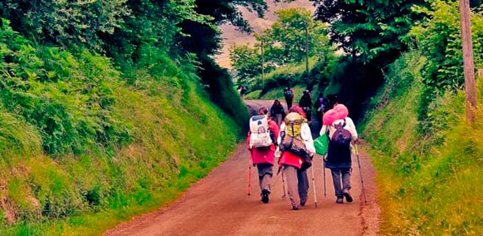 12-women-treated-for-breast-cancer-have-walked-the-Camino-de-Santiago-1