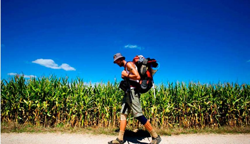 Walking the Camino alone? Would you like it?