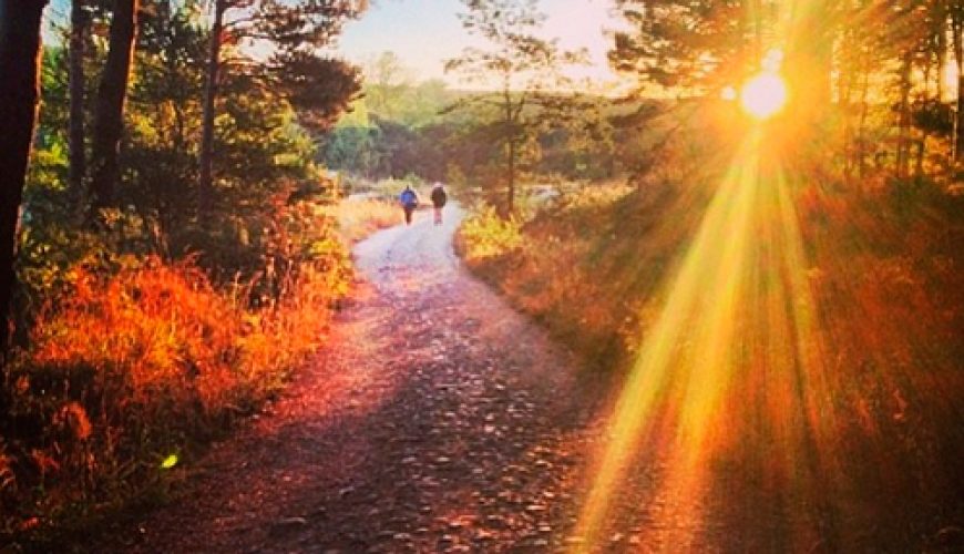 Pictures that explain the Camino de Santiago´s magic.
