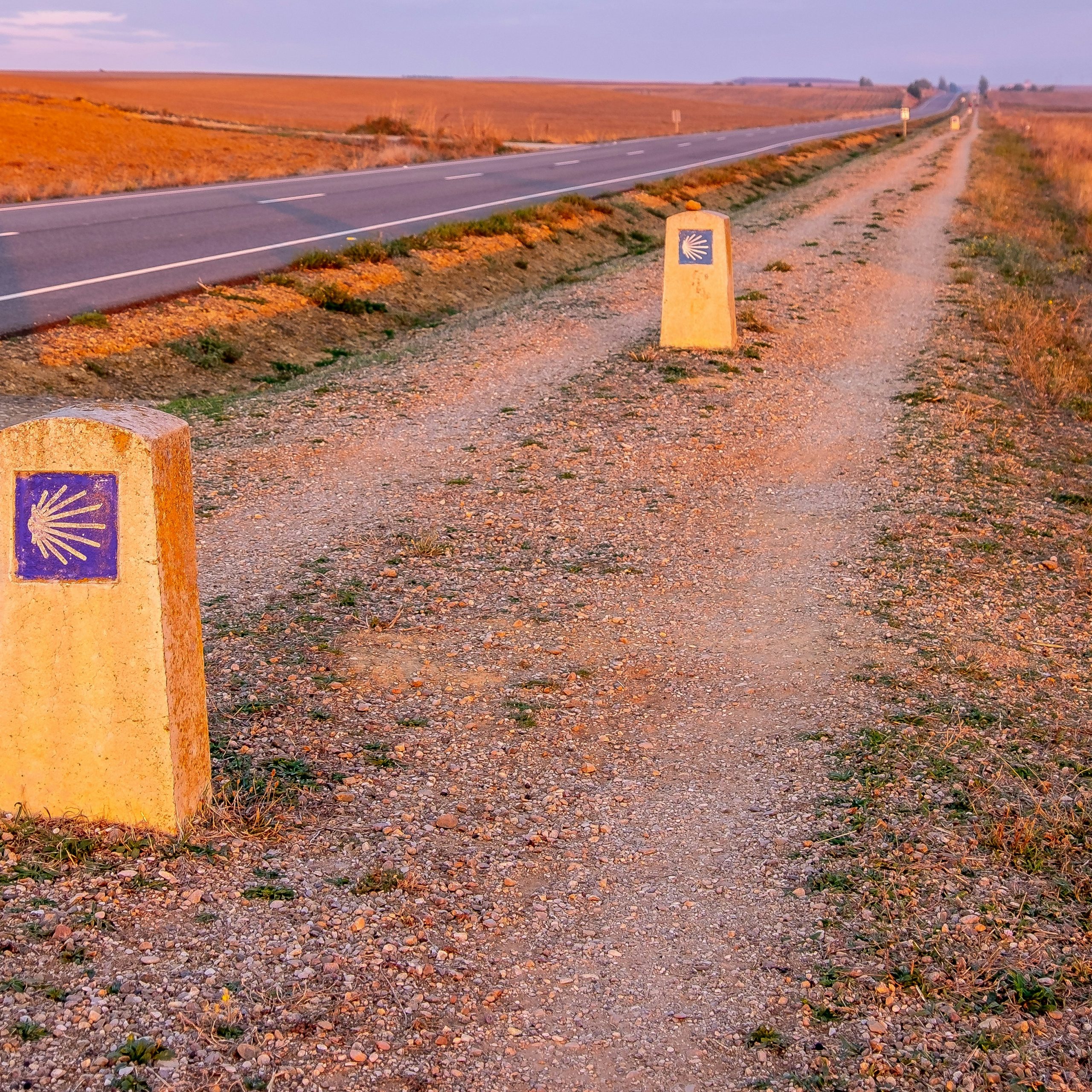 What is happening with the milestones on the Camino?