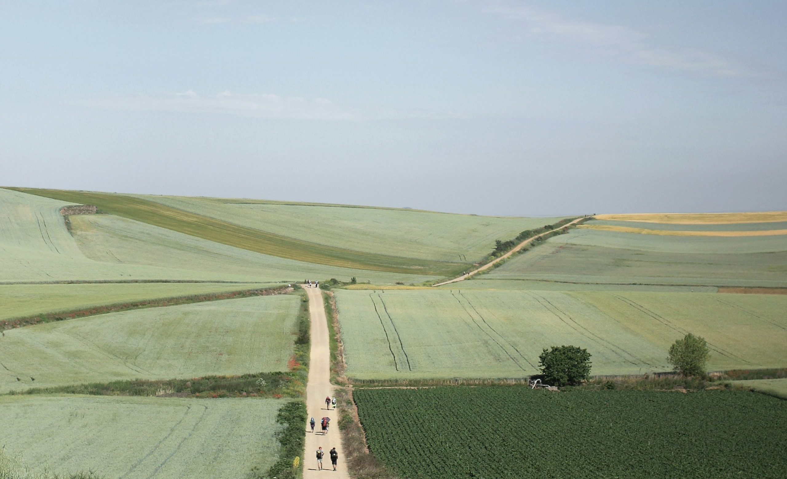 The Camino de Santiago is hosting the first Pilgrim’s Race in June 2017