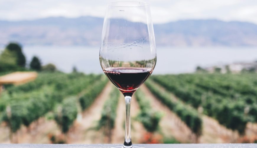 Can you follow wine routes on the Camino de Santiago?  Wine on Camino Francés.