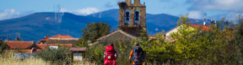 It-is-January-why-don´t-you-plan-your-next-Camino-cover