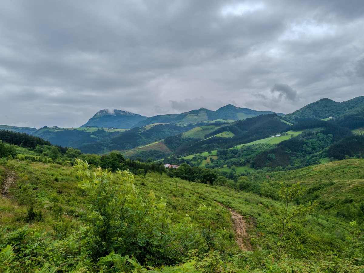Camino del Salvador Tour: León to Oviedo